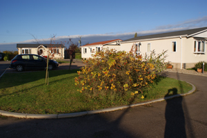 Suffolk Park Homes for Sale